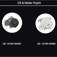 2AZFE Engine Overhaul Kit w/2Pcs Camshafts Timing Chain Kit Water/Oil Pump & Head Gasket Set Valves Fit For Toyota Camry/Highlander/RAV4/Solara 2001-2006 (OE:13502-0H030 13050-0H030)