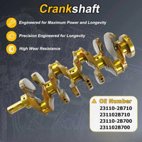 Crankshaft w/Connecting Rod & Piston Bearing Kit