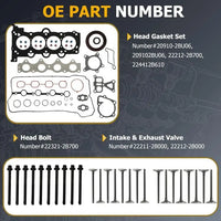 Engine Overhaul Rebuild Kit