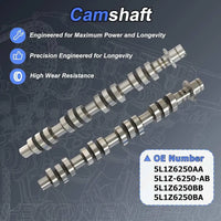 4.6L 5.4L 3V V8 Camshaft Timing Kit Fit Ford F150 Expedition Navigator