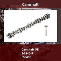 GM LS V8 4.8L 5.3L camshaft oil pump valve train rebuild kit E1840P M295